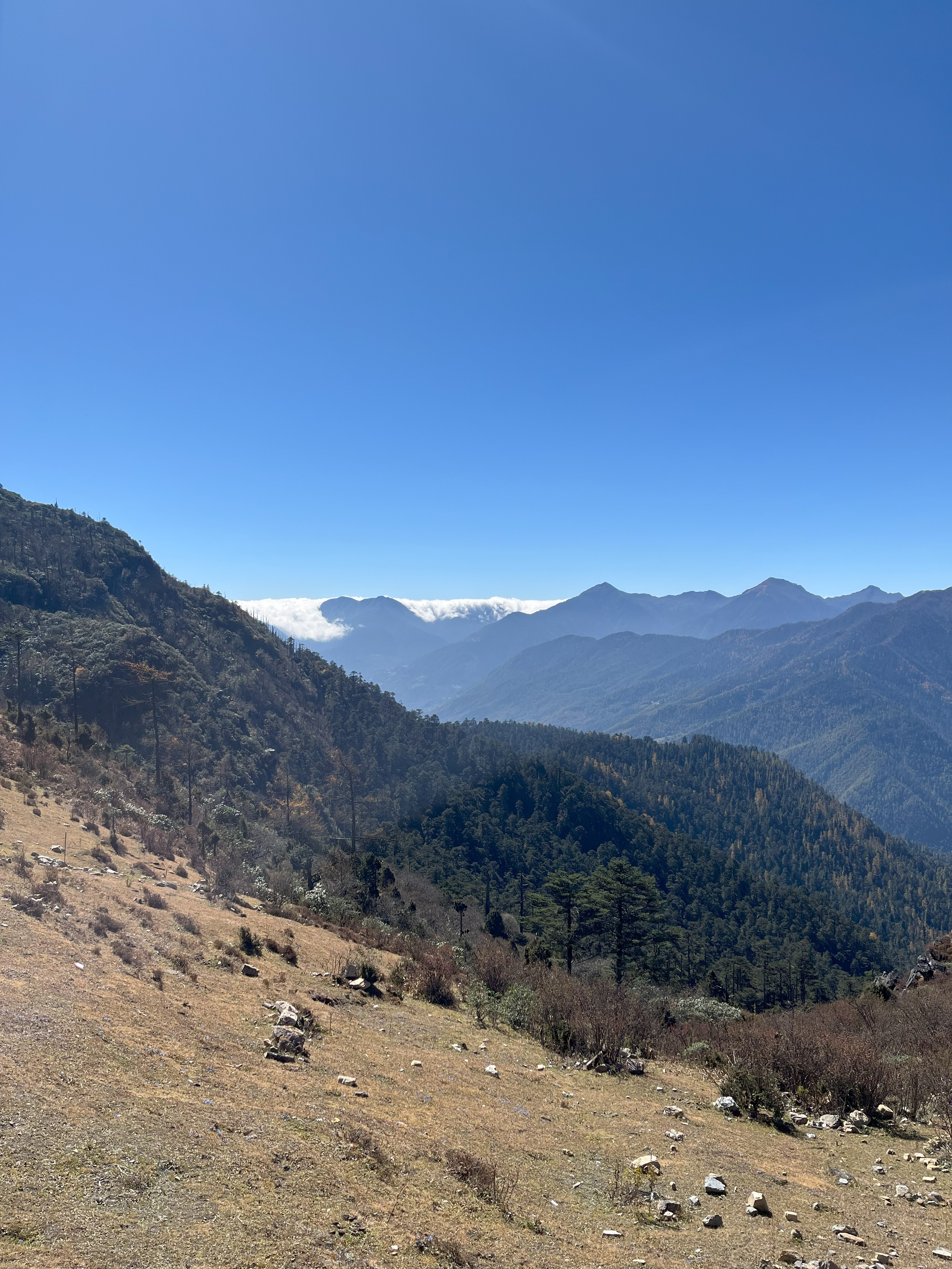 Stupa trail